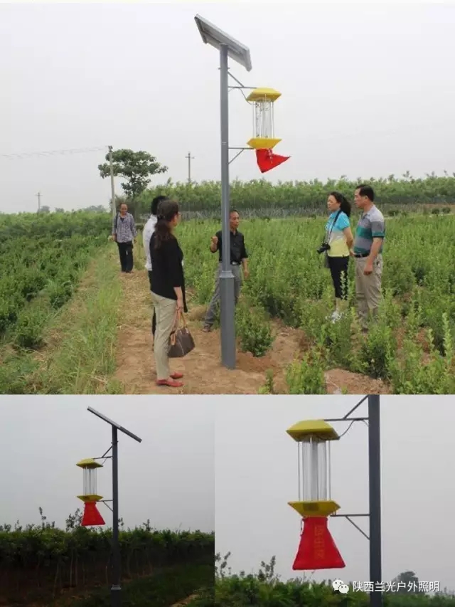 太陽能殺蟲燈 太陽能殺蟲燈